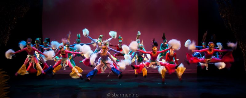 IMG\_5315-1-4