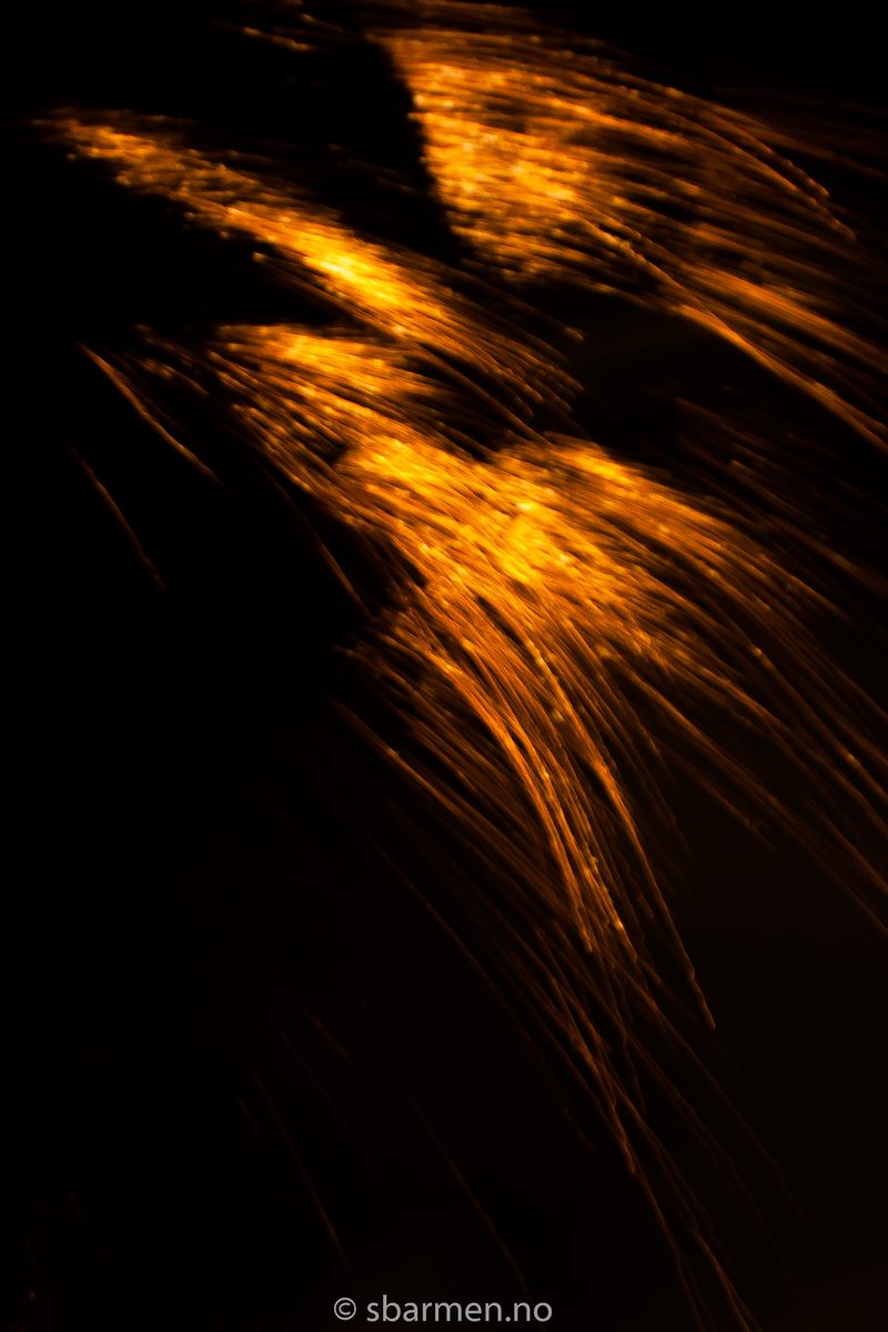 IMG\_2934-2