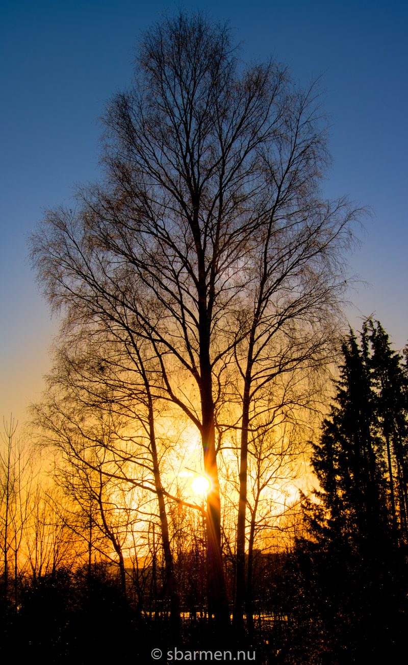 IMG\_2390\_HDR-1