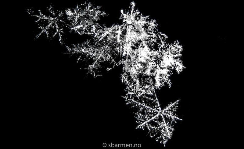 Snow Crystal